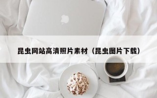 黔南昆虫网站高清照片素材（昆虫图片下载）